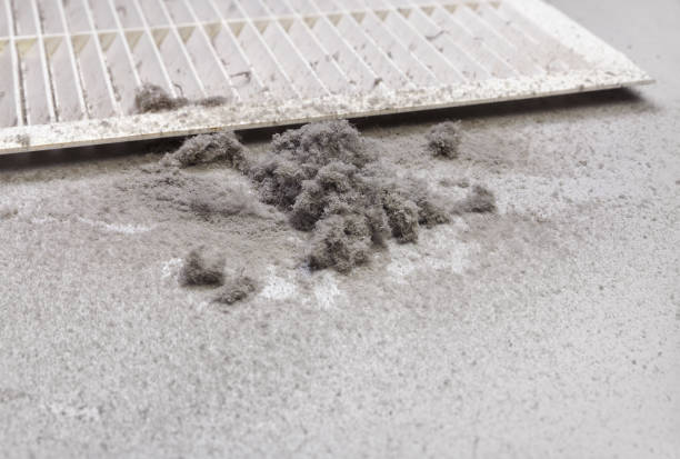 Best Affordable Duct Cleaning Services  in Natchitoches, LA