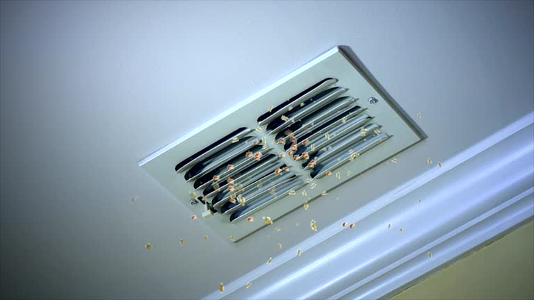 Best Ventilation Cleaning Services  in Natchitoches, LA