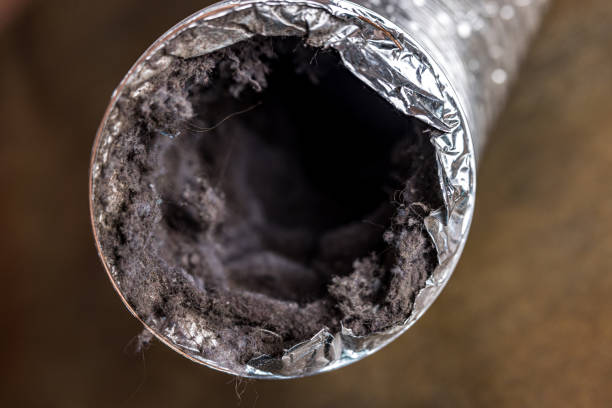 Best Affordable HVAC Duct Cleaning  in Natchitoches, LA