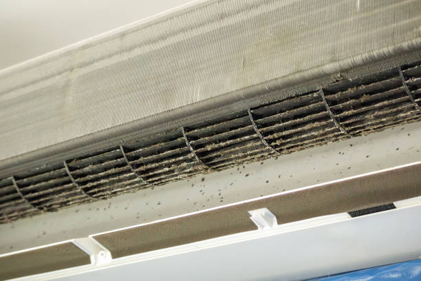Best Air Duct Cleaning Company Near Me  in Natchitoches, LA